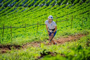 BIB: 
                            <button type="button" onclick="openModal(19162434)" class="btn btn-primary btn-sm float-right btn-popup" data-toggle="modal" data-target=".modal-high-quality">
                        <i class="fas fa-shopping-cart"></i> Add to Cart
                    </button>
                                            <button type="button" onclick="isThisMe(19162434, true)" class="btn btn-success btn-sm float-right btn-popup btn-isme hidden" data-toggle="tooltip" data-placement="bottom" title="นี่คือรูปของคุณใช่ไหม คลิกที่นี่เพื่อเอาเข้าอัลบั้ม">
                        <i class="fas fa-plus"></i> Add to album
                    </button>
                    <button type="button" onclick="isThisMe(19162434, false)" class="btn btn-warning btn-sm float-right btn-popup btn-isnotme hidden">
                        <i class="fas fa-ban"></i> Remove from album
                    </button>